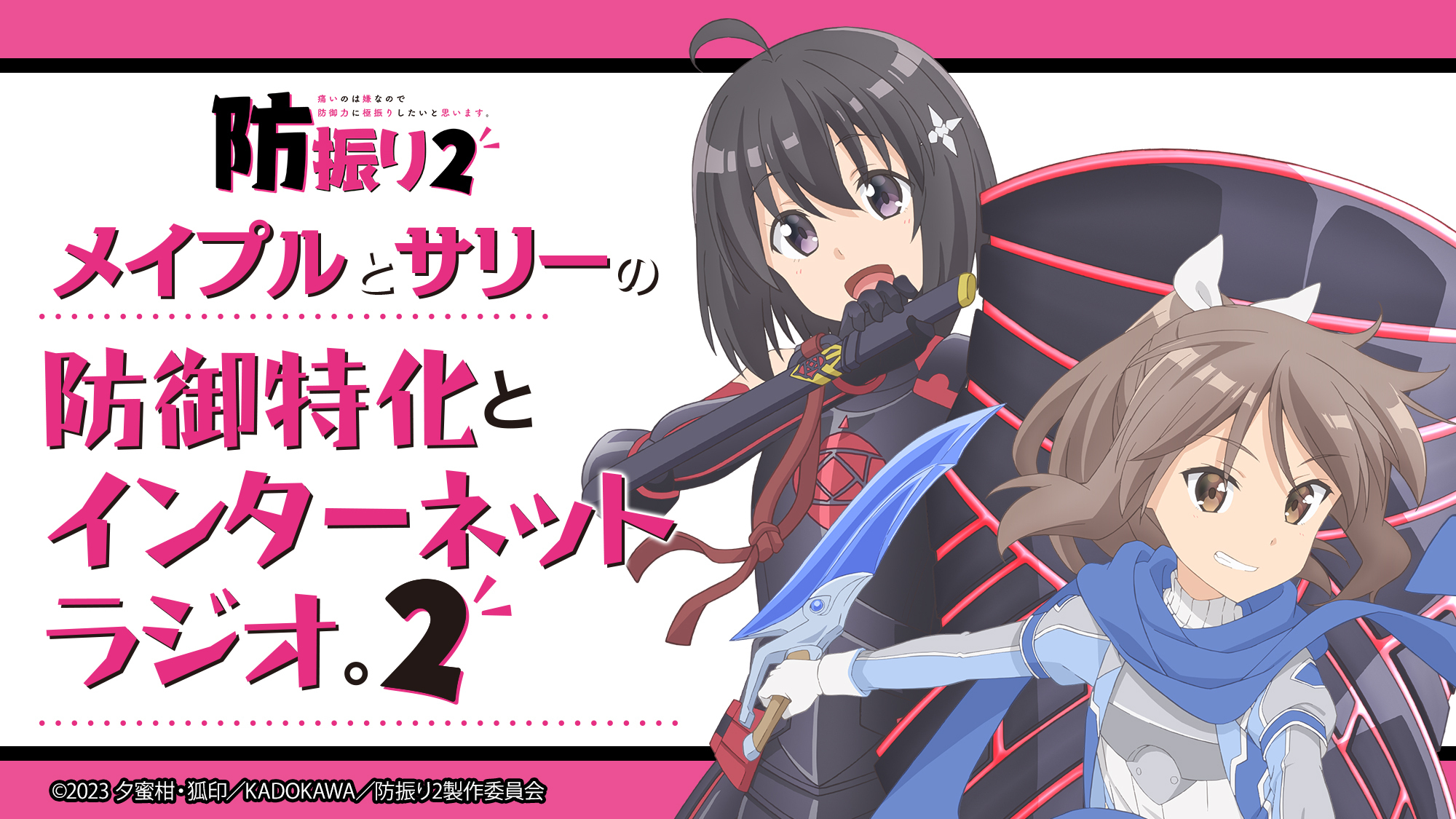 メイプルとサリーの防御特化とインターネットラジオ。2